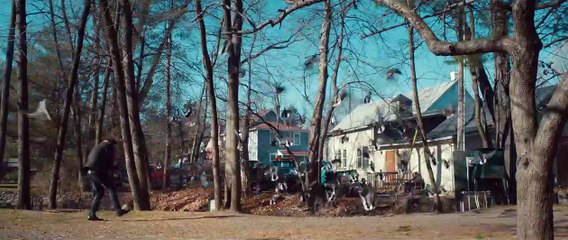 The Skeleton Twins Trailer (3) OV