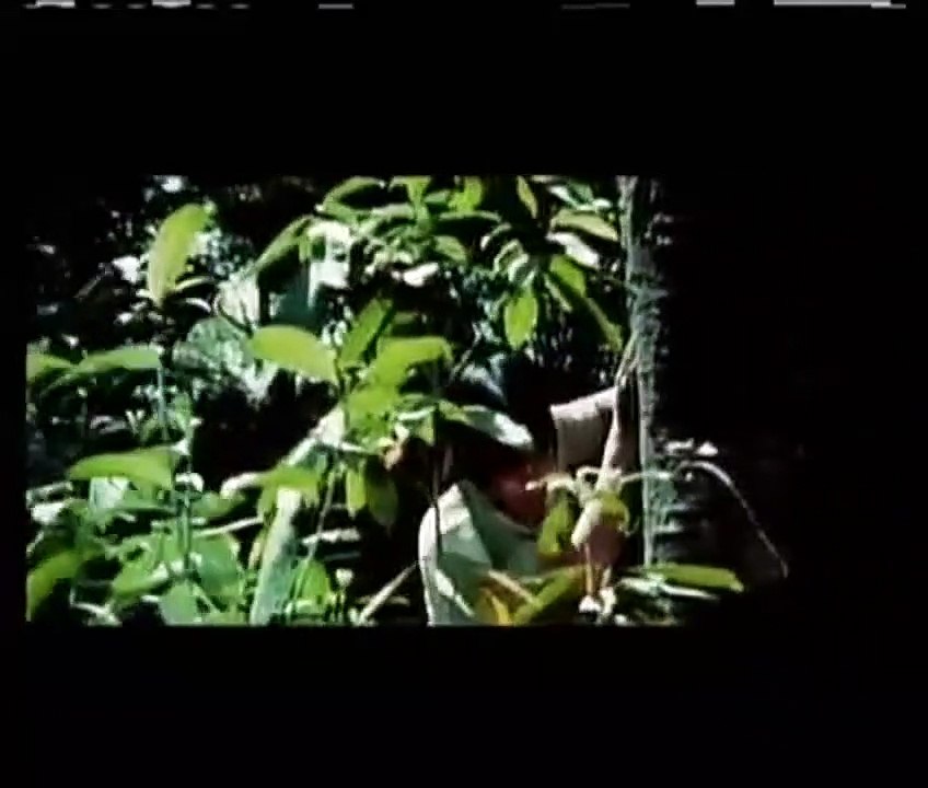 Der Koloss von Konga Trailer DF