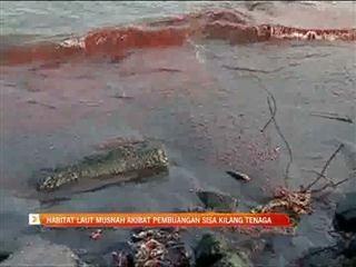 Habitat laut musnah akibat sisa buangan
