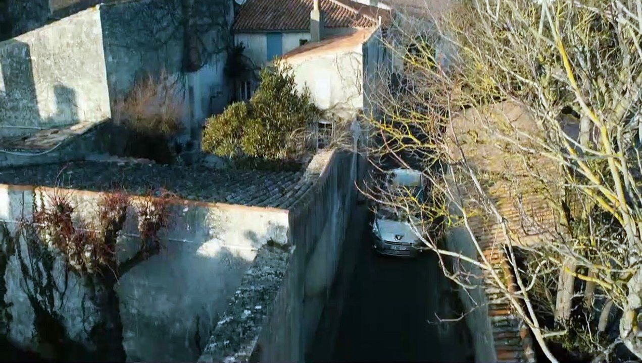 Molière auf dem Fahrrad Trailer DF