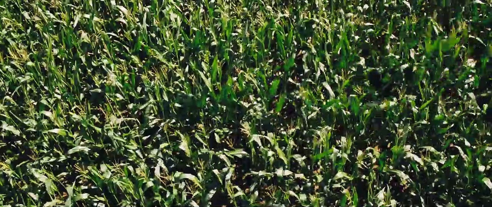 Ich seh, Ich seh Trailer (2) DF