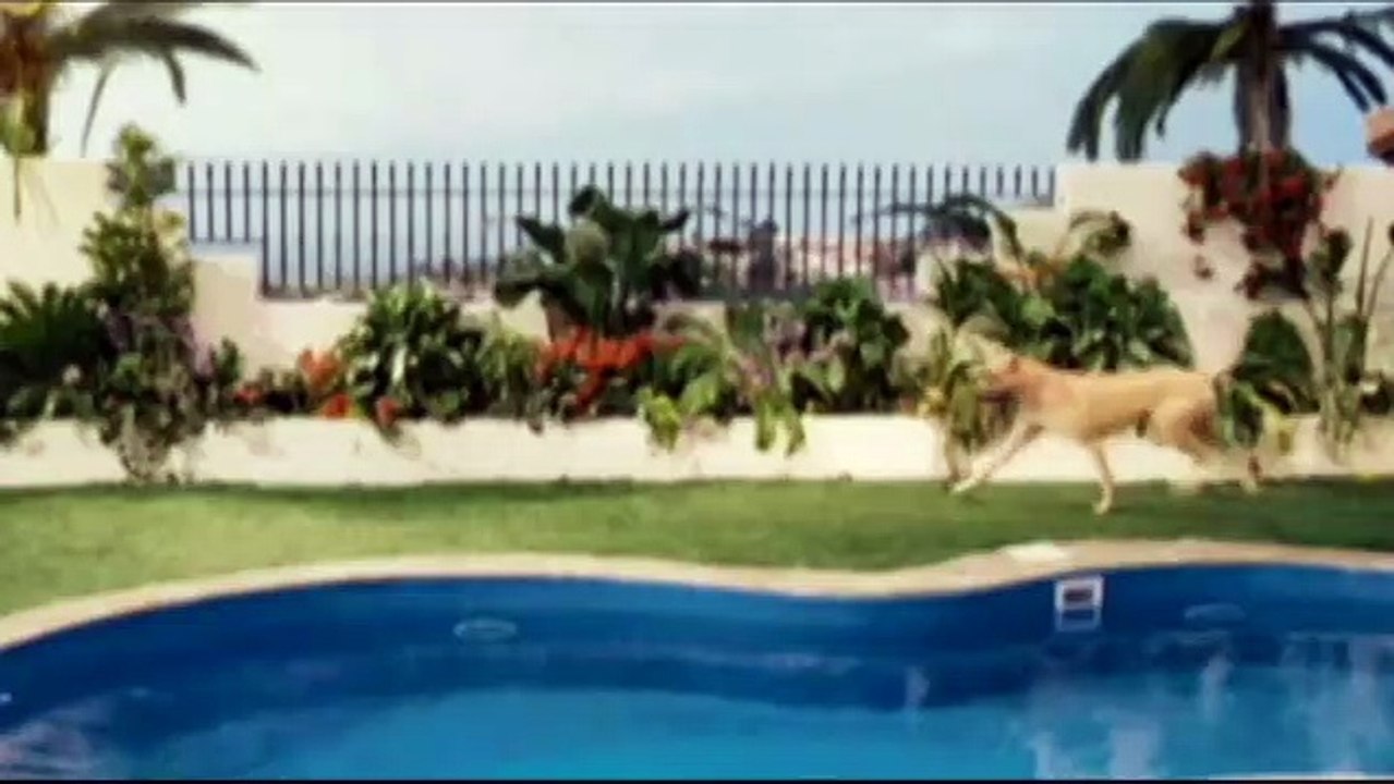 Interviews 1 - Deutsch