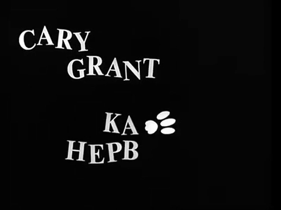 Leoparden küsst man nicht Trailer DF