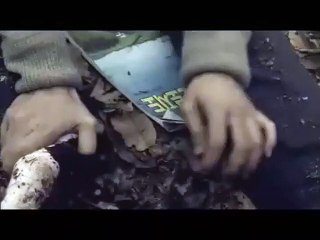 End of Animal Trailer OV