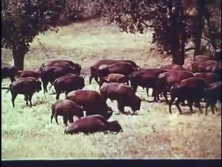 Denkt bloß nicht, daß wir heulen Trailer OV