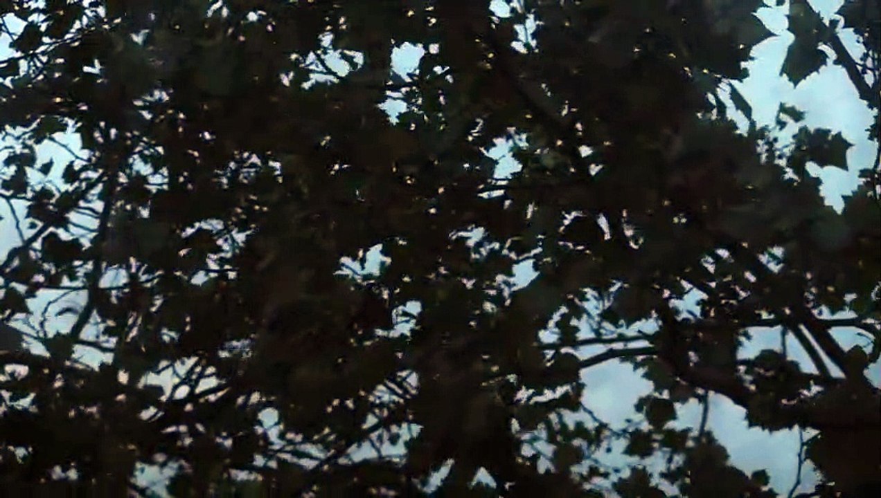 Bamseom Pirates Seoul Inferno Trailer OV