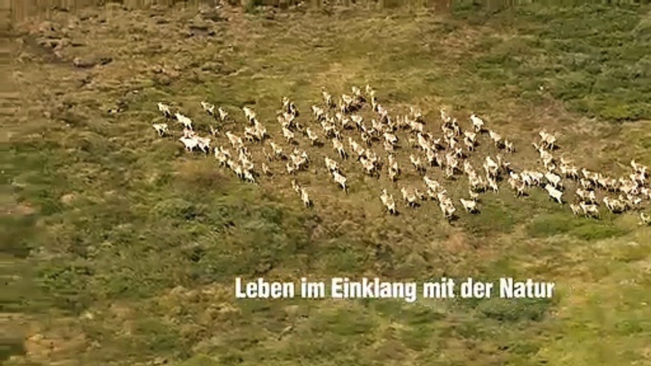 Die Hüter der Tundra Trailer DF
