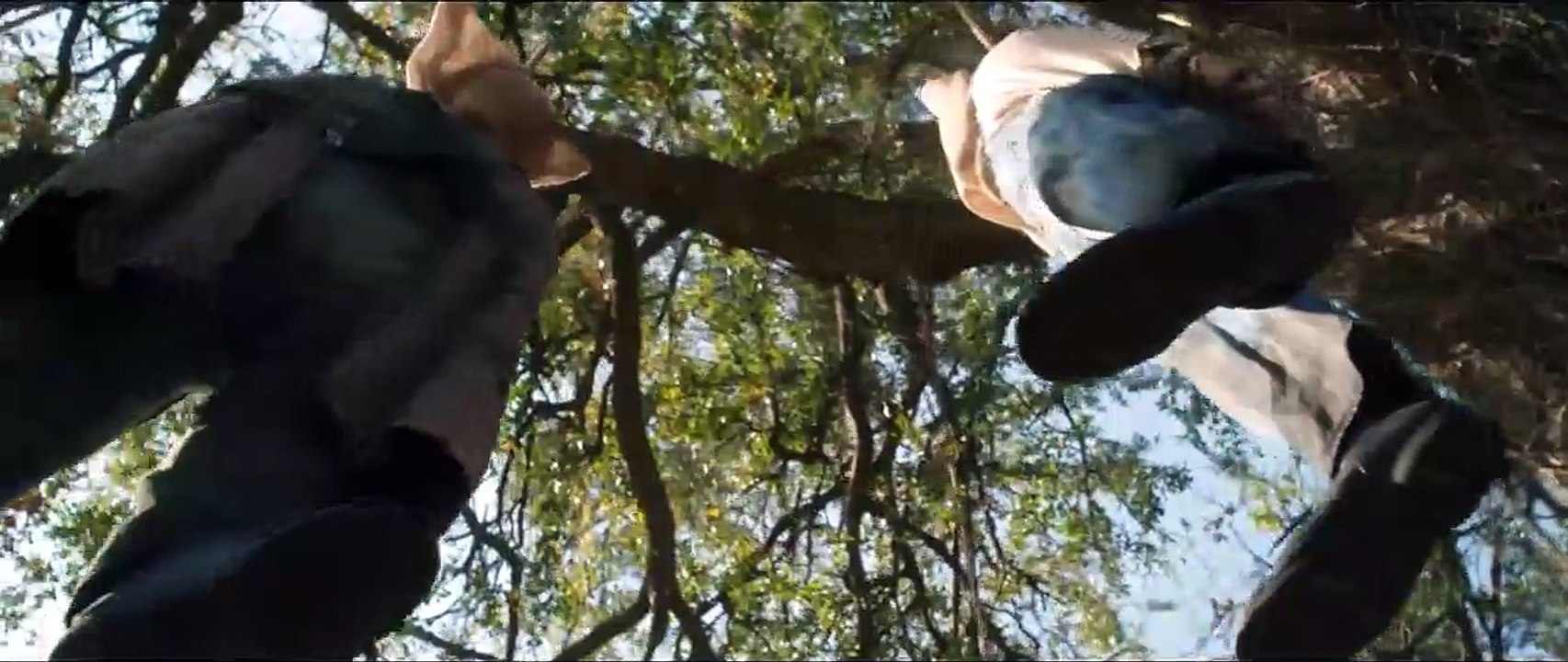 Dark House Trailer DF