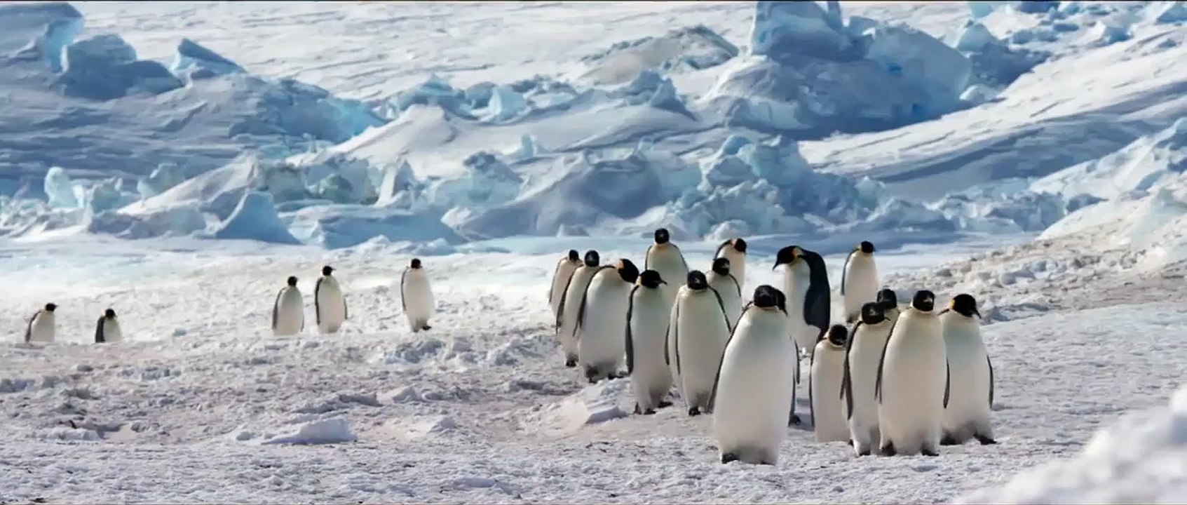 Die Reise der Pinguine 2 Trailer DF