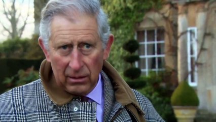 Der Bauer und sein Prinz Trailer (2) DF