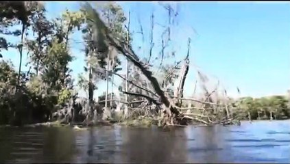 Creature - Die Legende vom Monster aus dem Sumpf Trailer OV