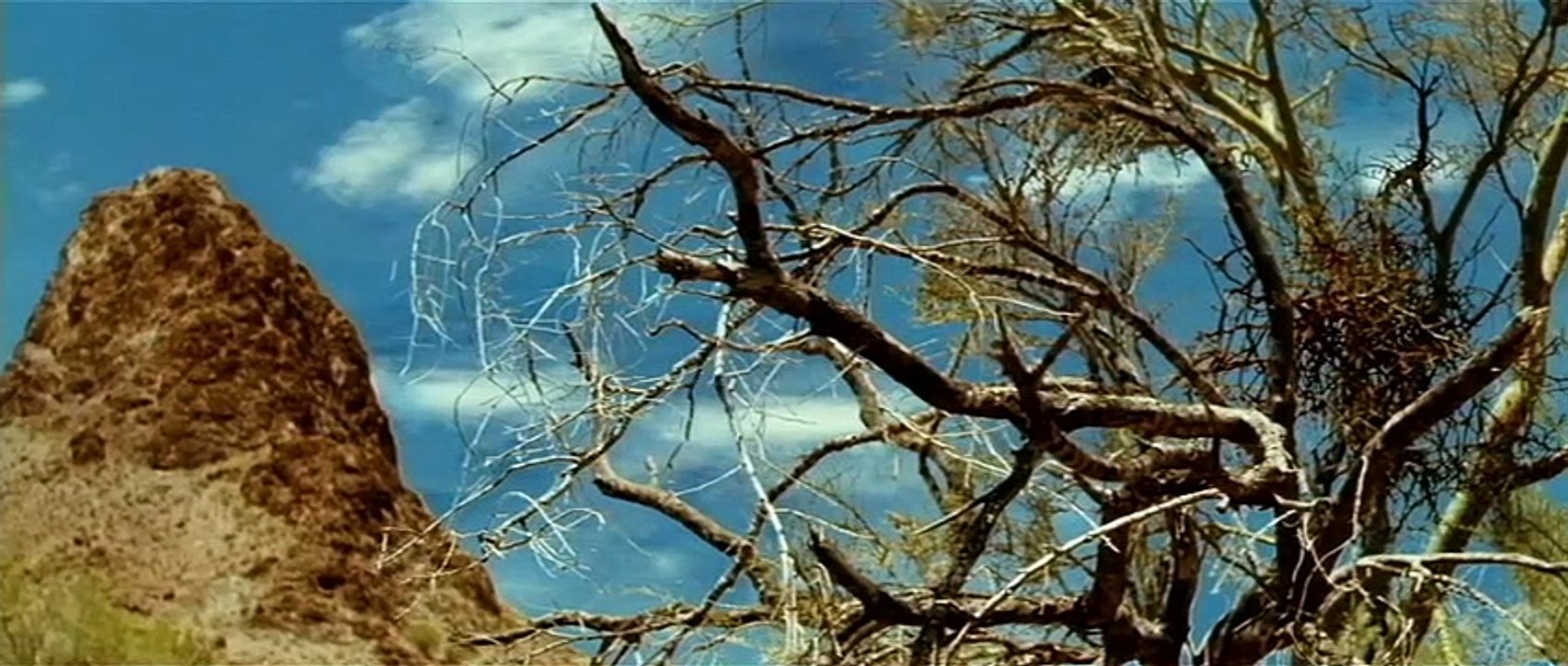 Piranha 3D Videoauszug DF