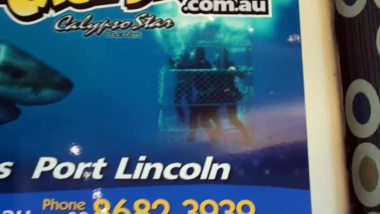 Open Water: Cage Dive Trailer DF