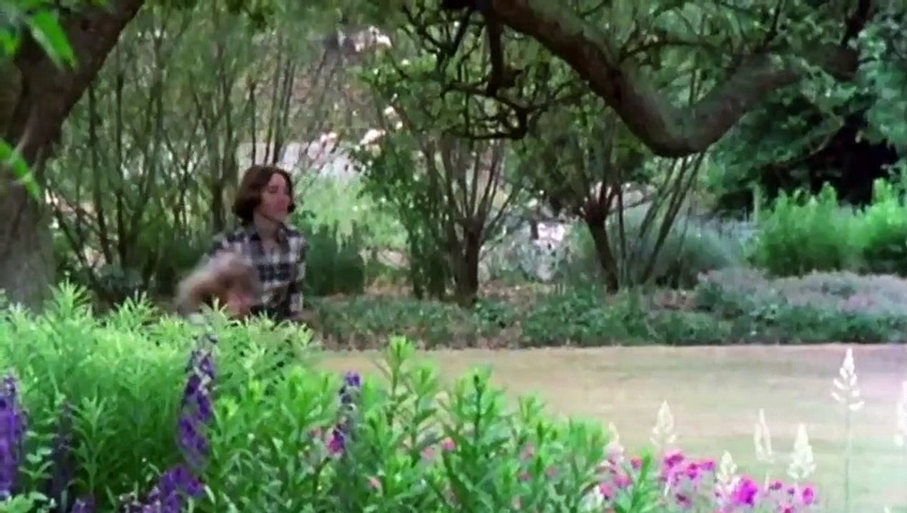 Hawking Trailer DF