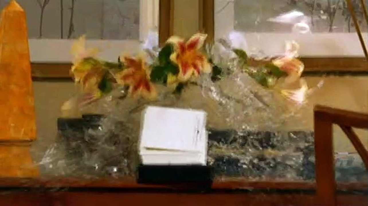 Covert Affairs - staffel 1 Trailer DF