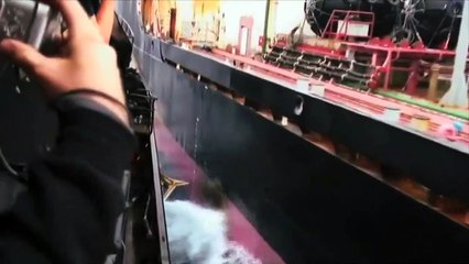 Bekenntnisse eines Öko-Terroristen Trailer OV