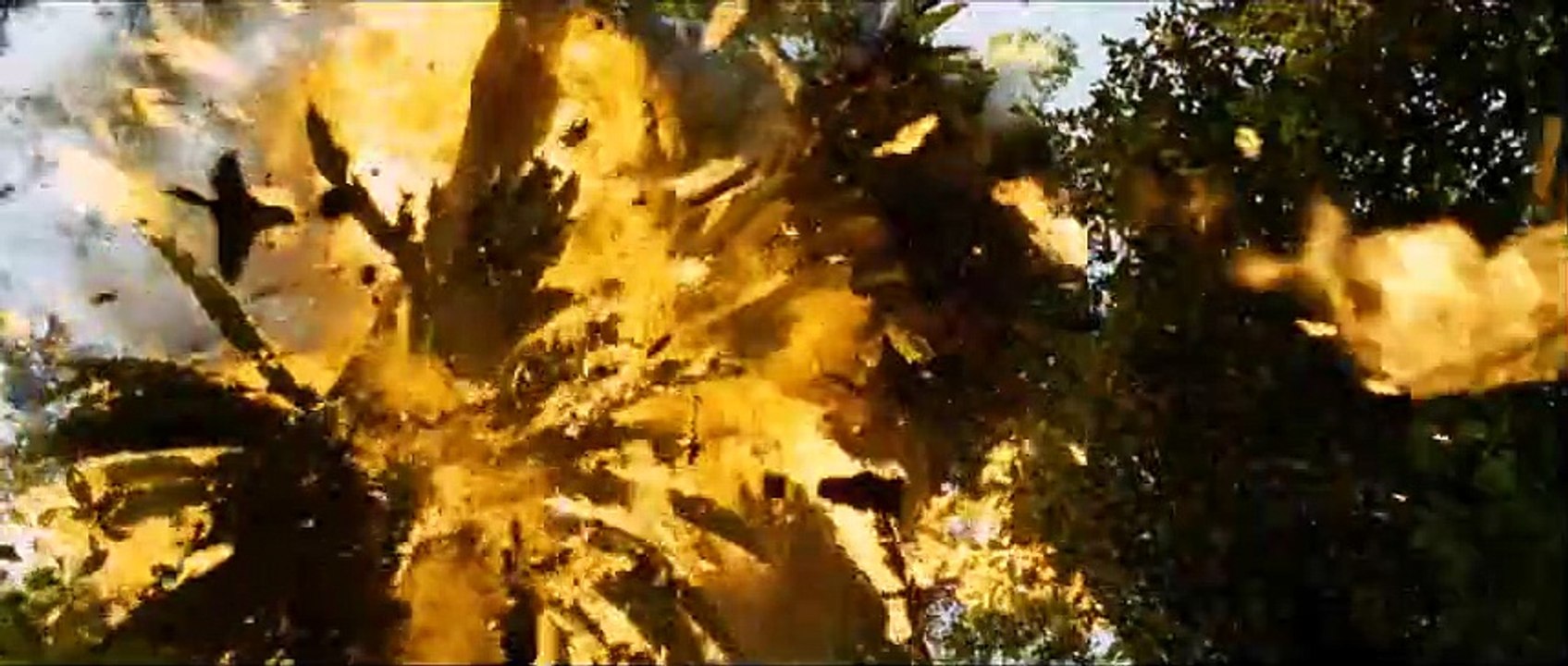 Warriors Of The Rainbow Trailer DF