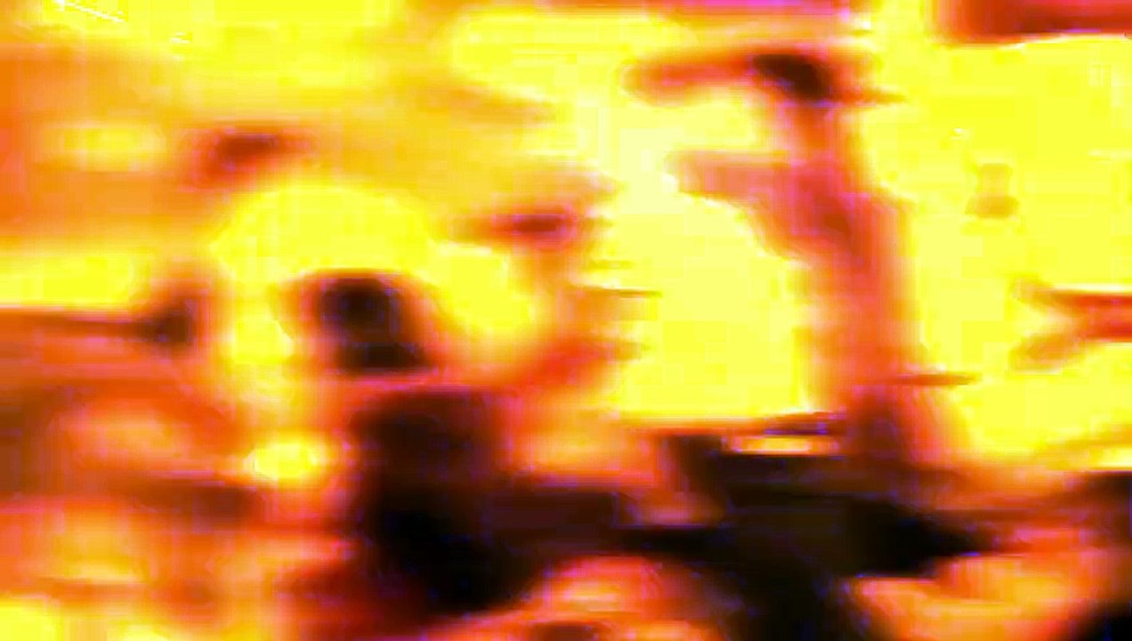 Everyday Teaser OV