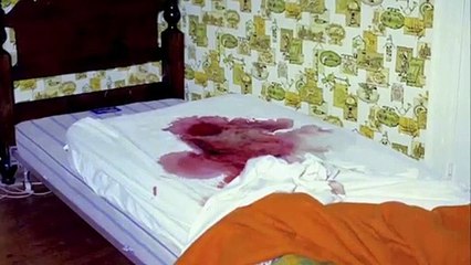 My Amityville Horror Trailer OV