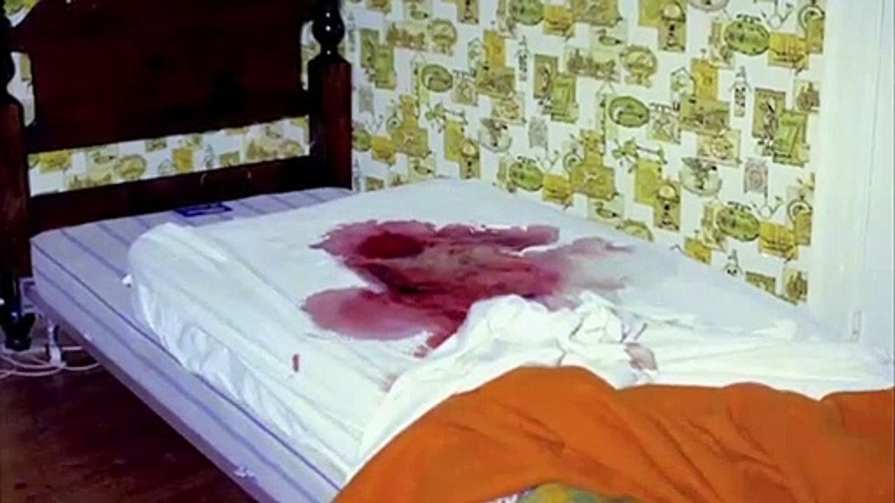 My Amityville Horror Trailer OV