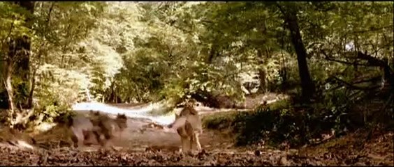 Dario Argentos Dracula Trailer (2) OV