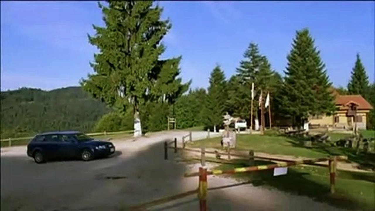 Timber Falls Trailer DF