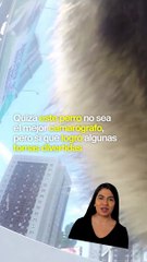 Este perro robó una cámara y grabó el momento