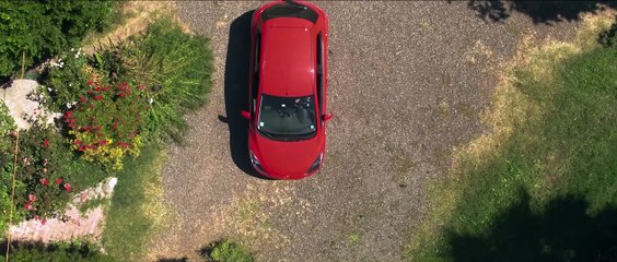 Trauma - Das Böse verlangt Loyalität Trailer (2) OV