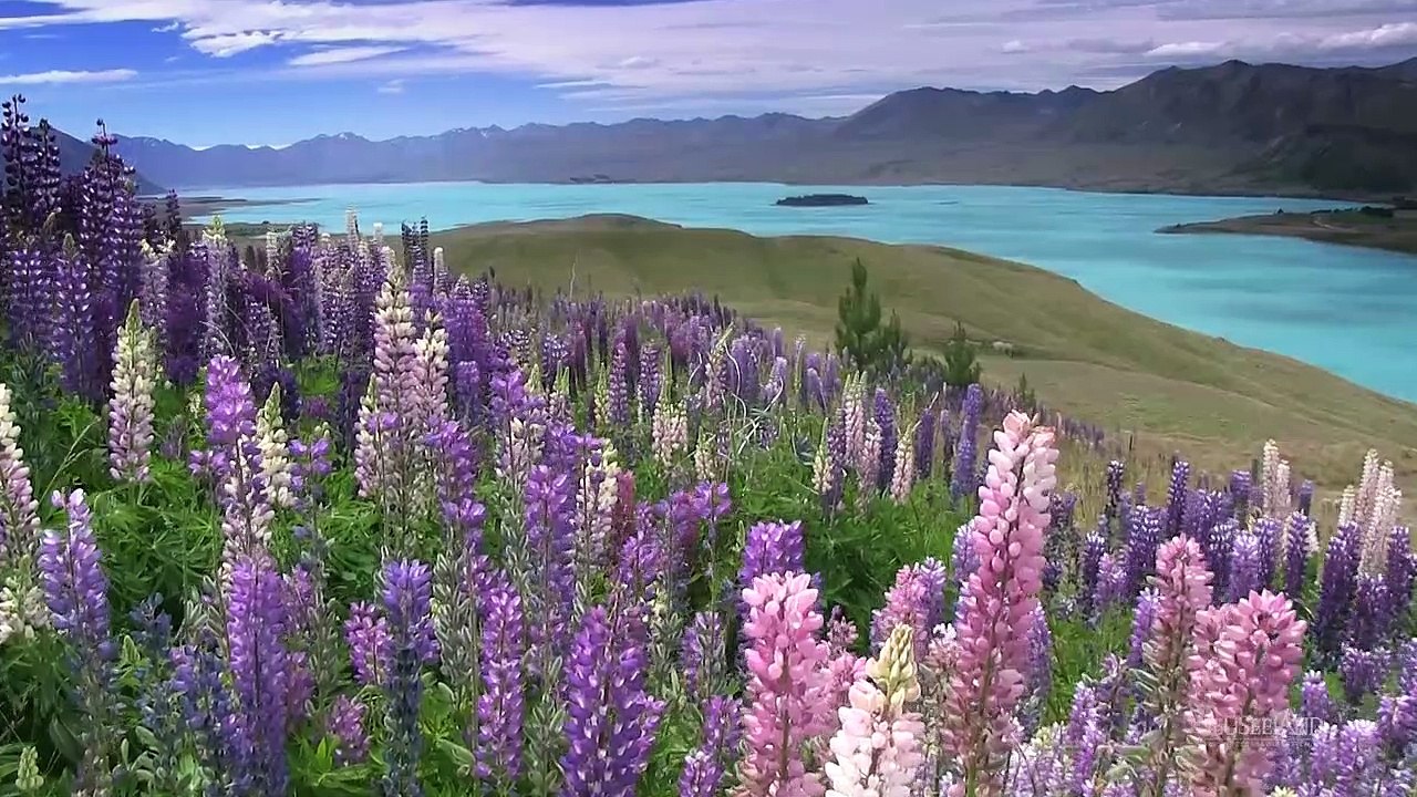 Neuseeland - Der Film Trailer DF