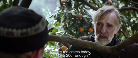 Tangerines Trailer OV