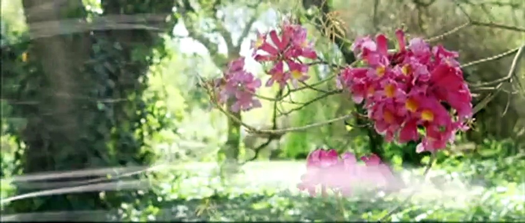 Die Geheimnisse der Spiderwicks Trailer DF