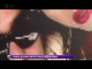 No Doubt tunda jelajah untuk fokus album baru