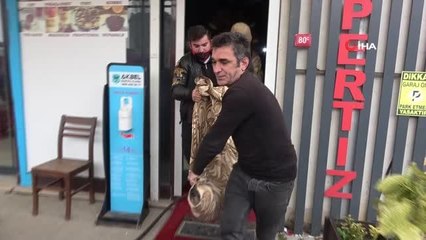 Son dakika! Kartal'da yangında kurtarılan köpeğe oksijenle müdahale edildi