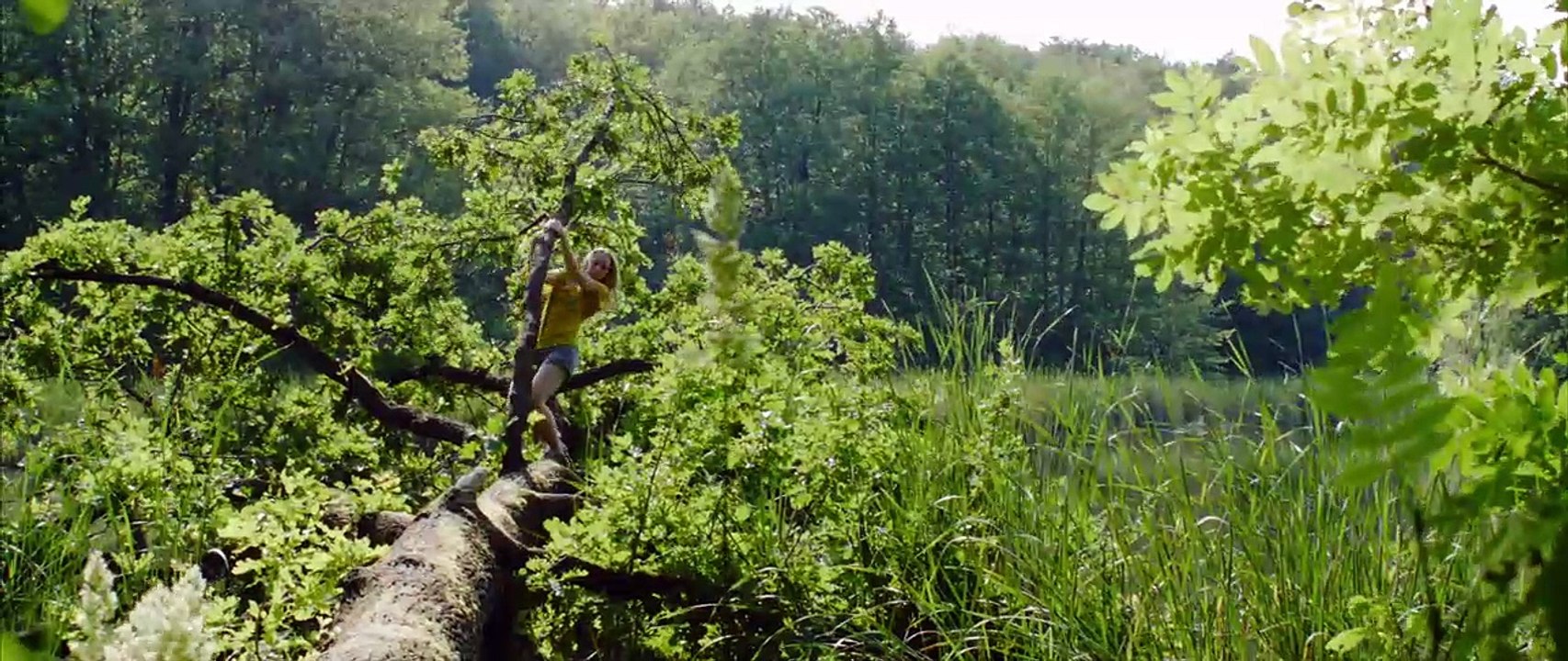 Drei Finnen Trailer DF