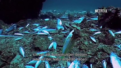 Mission Blue Trailer OmU