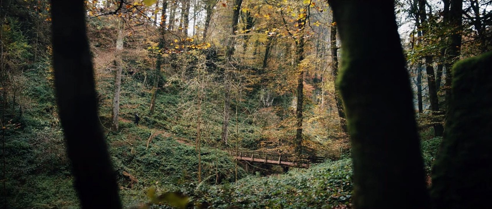 Die dunkle Seite des Mondes Trailer DF