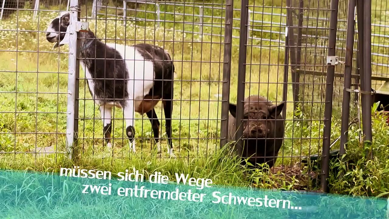 Welcome to Happy Valley Trailer DF