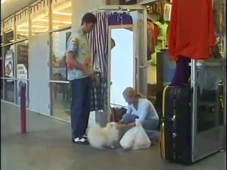 Nur Hunde kommen in den Himmel Trailer OV