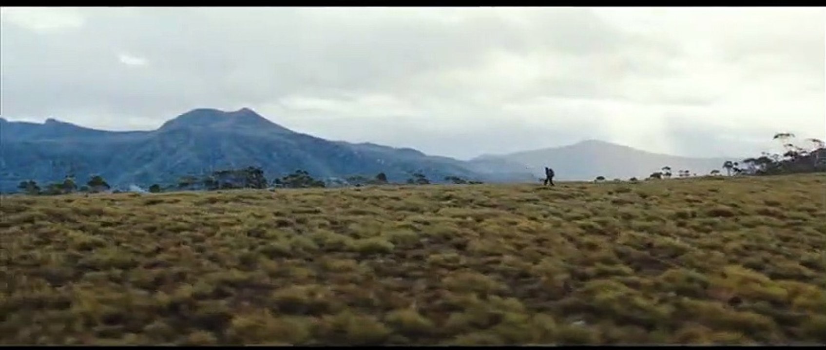 The Hunter Teaser OV