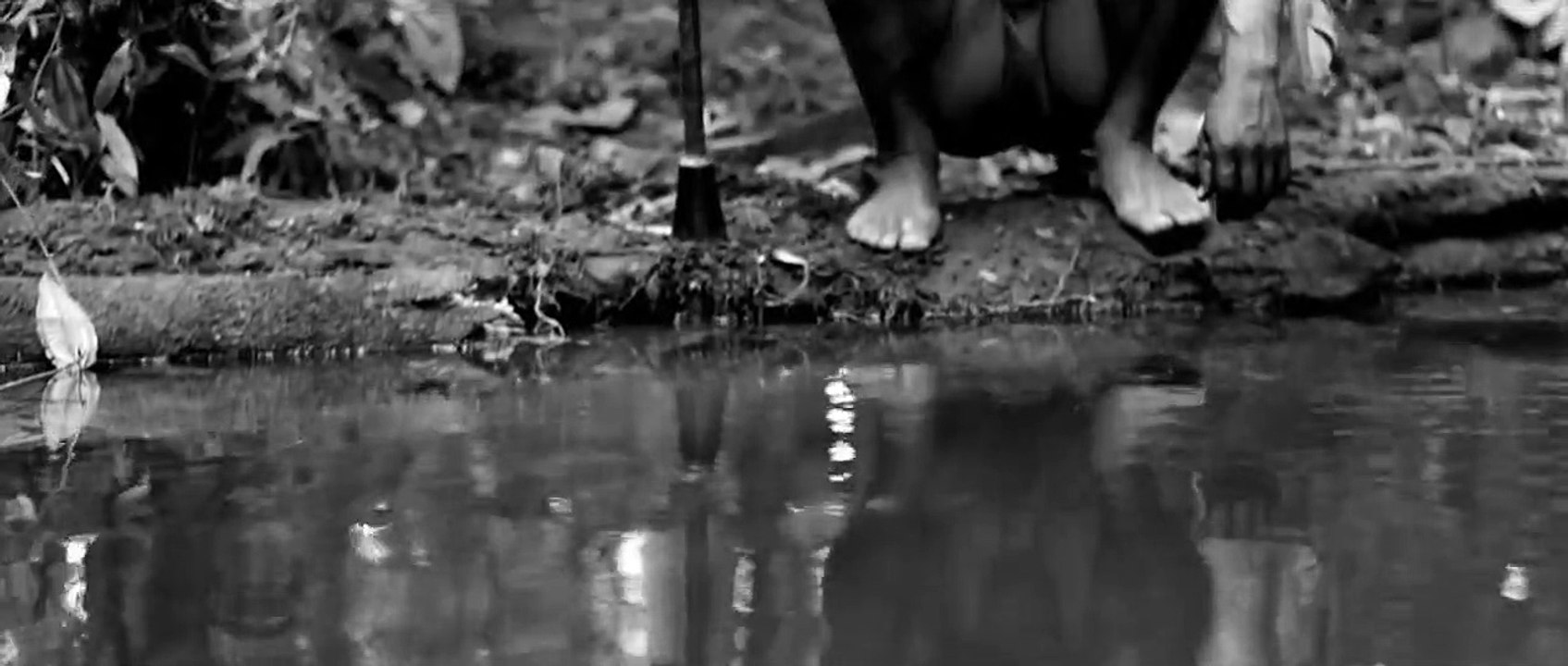 Der Schamane und die Schlange - Eine Reise auf dem Amazonas Trailer (2) OV