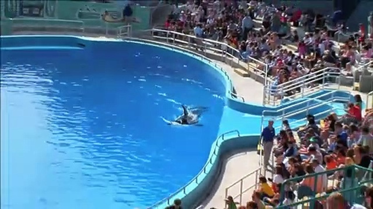 Kinotrailer 1 - Deutsch