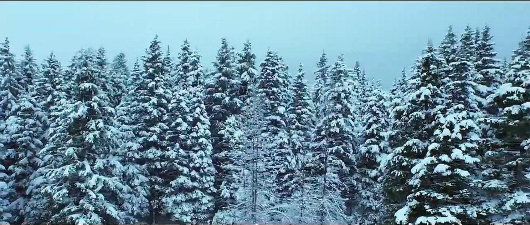 Frozen Money Trailer DF