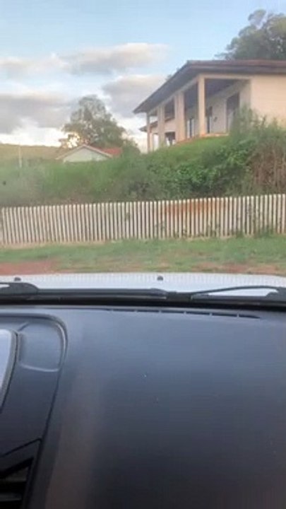Dogs Spin When They See Car Leaving