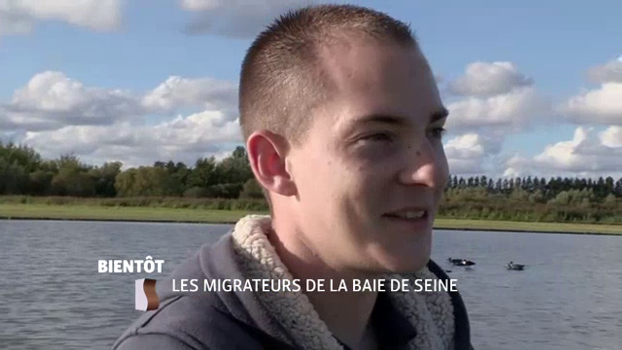 Les Migrateurs de la Baie de Seine