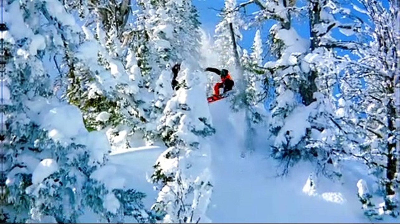 Art of Flight Trailer DF