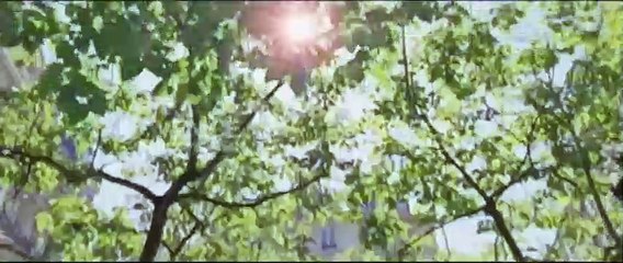 To The Wonder Trailer OV