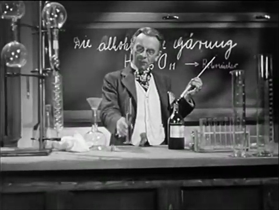 Die Feuerzangenbowle Videoclip DF