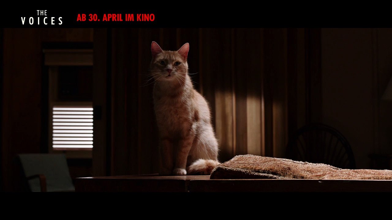 The Voices Videoclip DF