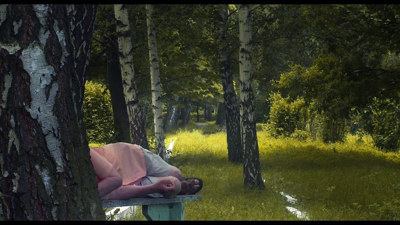 Sieniawka Trailer OV