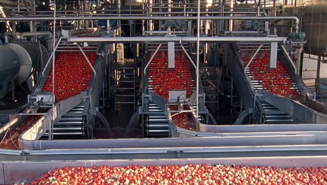 Ravioli- Träume in Dosen Trailer OV